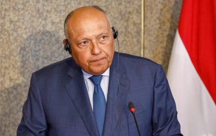 Foreign Minister Sameh Shoukry