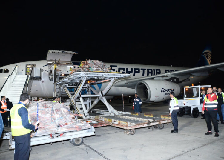 EgyptAir takes part in transferring meat cargos from Chad to Egypt 1 - Egyptian Gazette chilled meat from the Chadian capital N’Djamena to Cairo.