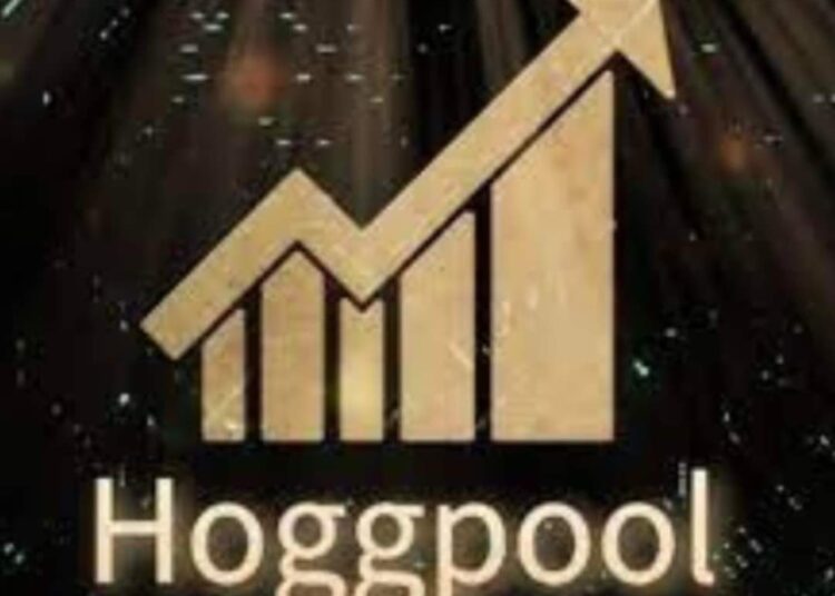 Attorney general orders investigation into 'Hoggpool' app's incident 1 - Egyptian Gazette