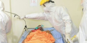 Seven deaths in E.Guinea from Marburg virus – WHO