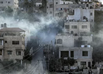 Egypt decries Israeli forces’ raid on Jenin