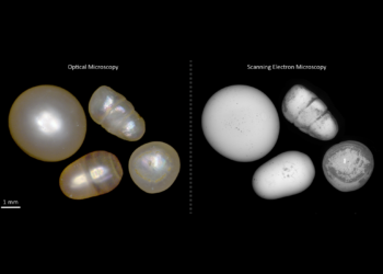 MIT, DANAT establish research collaboration on pearl identification