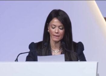 Sisi: Africa has 71% of least developed countries worldwide facing many challenges