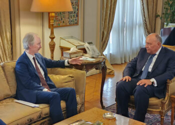 ‘Cairo for early settlement of Syrian crisis’