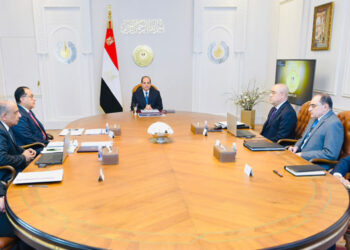 Sisi reviews plans to upgrade textile industries