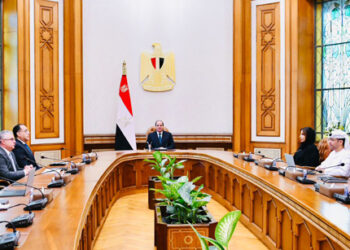 Sisi stresses keenness to maintain fruitful co-operation with UAE in all fields