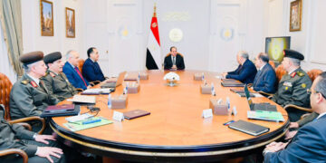 Sisi: New Delta project augments state’s strategy for expanding agricultural area