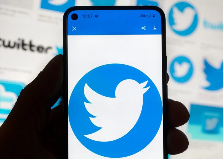 Only verified Twitter users eligible to vote 1 - Egyptian Gazette Elon Musk said only verified accounts will be eligible to be in Twitter polls starting April 15.