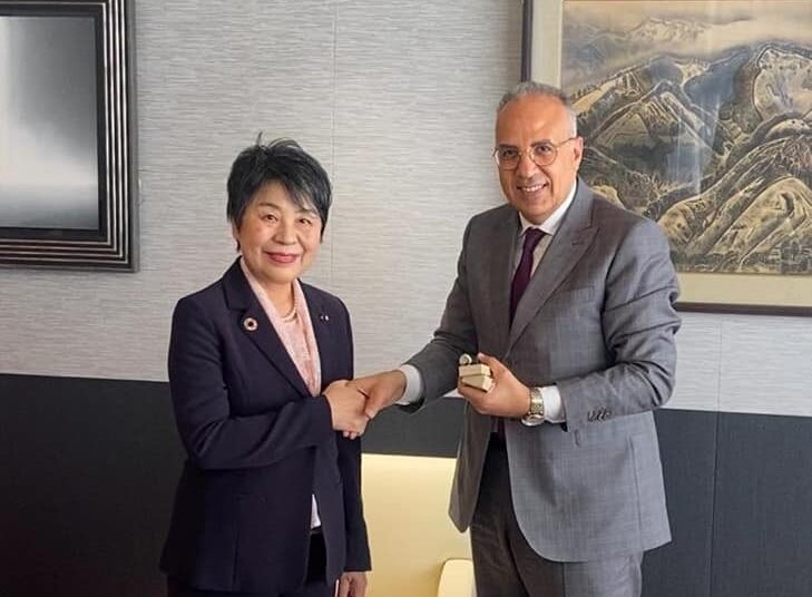 Irrigation minister in New York for UN water conf. 1 - Egyptian Gazette