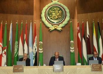 FM reiterates keenness to upgrade joint Arab action