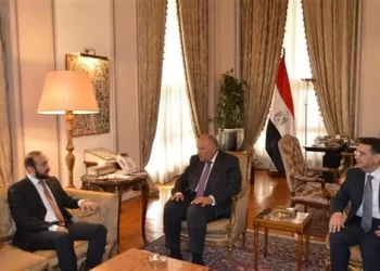 FM reaffirms strong historical ties between Egypt, Armenia