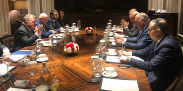 FM says Egypt ready to develop relations with Denmark