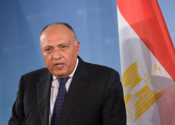Egypt condemns provocative statements of Israeli minister