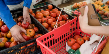 World food prices fall for 11th month running in February – FAO