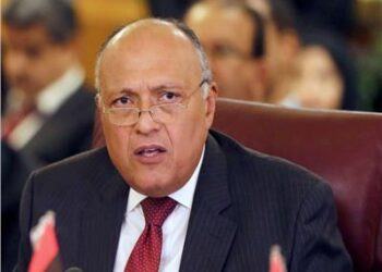 Egypt strongly supports UAE bid to render COP28 success, says Shoukry