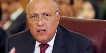 Egypt strongly supports UAE bid to render COP28 success, says Shoukry