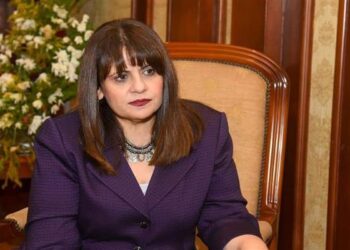 Inviting Egyptian investors abroad to invest in Egypt among ministry’s priorities: immigration min.