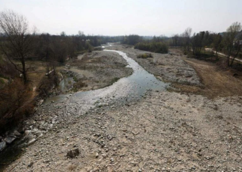 Italy to cut rice output as drought looms for second year