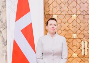 Danish PM: Egypt is strong partner to us