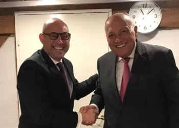 Shoukry, UNFCCC secretary discuss implementing outcomes of COP27