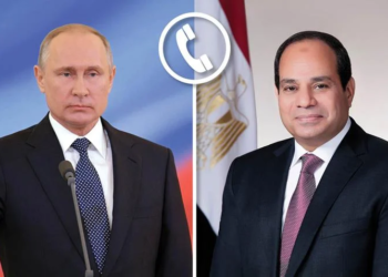 Sisi, Putin confer by phone on enhancing joint cooperation in all fields