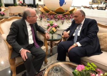 Egyptian, Brazilian FMs urge boosting bilateral trade exchange