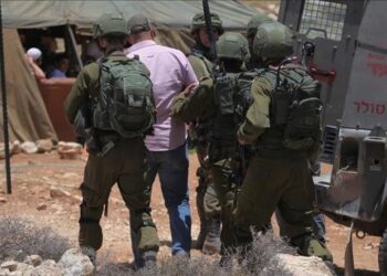 Israeli forces detain 12 Palestinians in West Bank