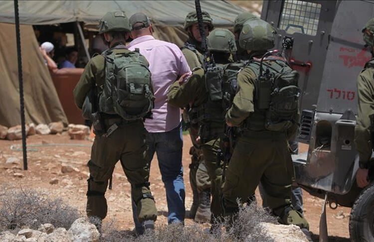 Israeli forces detain 12 Palestinians in West Bank 1 - Egyptian Gazette