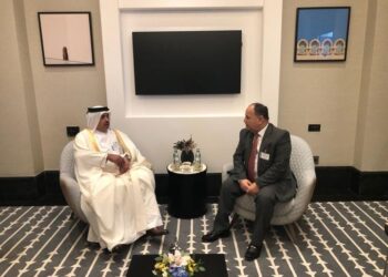 Finance minister: Beefing up Egyptian-Qatari financial, customs co-operation