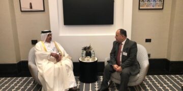 Finance minister: Beefing up Egyptian-Qatari financial, customs co-operation