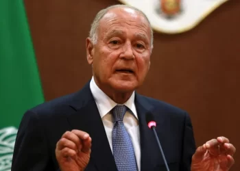 Abul Gheit appreciates Japan’s support for Palestinian cause