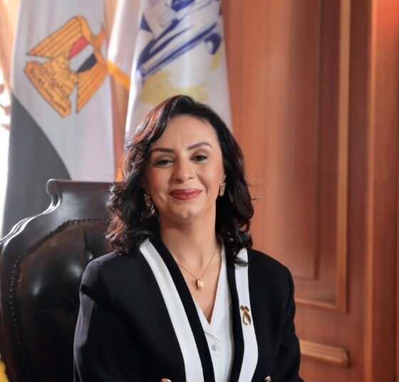 NCW issues mid-term review on National Strategy for Empowerment of Egyptian Women 2030 1 - Egyptian Gazette