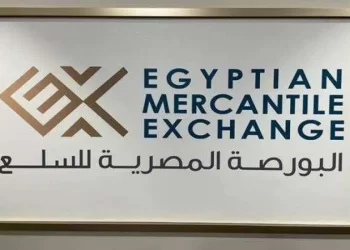 Fodder factories start today registering membership in EMX to buy yellow corn 1 - Egyptian Gazette Fodder factories start today registering membership in EMX to buy yellow corn