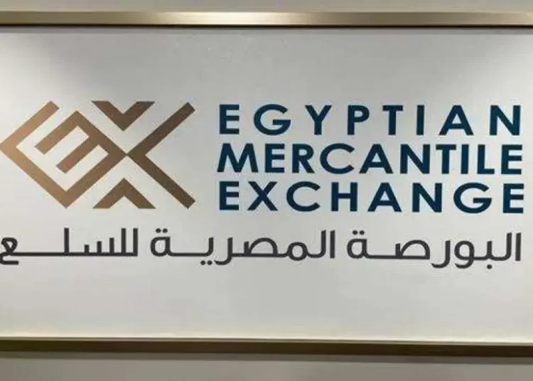 Fodder factories start today registering membership in EMX to buy yellow corn 2 - Egyptian Gazette Fodder factories start today registering membership in EMX to buy yellow corn 1 - Egyptian Gazette