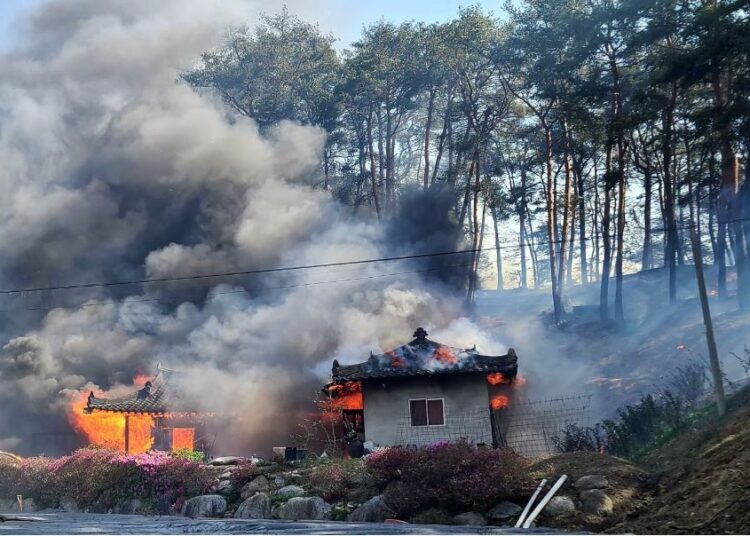 South Korea wildfire forces 500 residents to evacuate, rain helps fight flames 1 - Egyptian Gazette