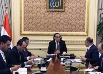 PM: Sisi directs to optimize use of vacant lands