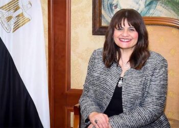 Egyptians in Sudan to be evacuated according to plan: Emigration min.