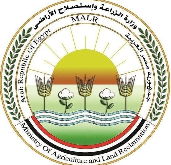 259,486kg of meat, fish, chicken unfit for human consumption seized 2 - Egyptian Gazette 259,486kg of meat, fish, chicken unfit for human consumption seized 1 - Egyptian Gazette