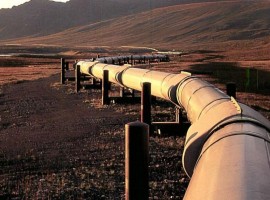 Petroleum min.: Egypt has proven oil reserves in Sinai