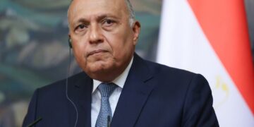 Egypt FM heads to Amman to attend meeting on Syria