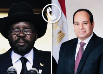 Sisi, Kiir call for immediate ceasefire in Sudan