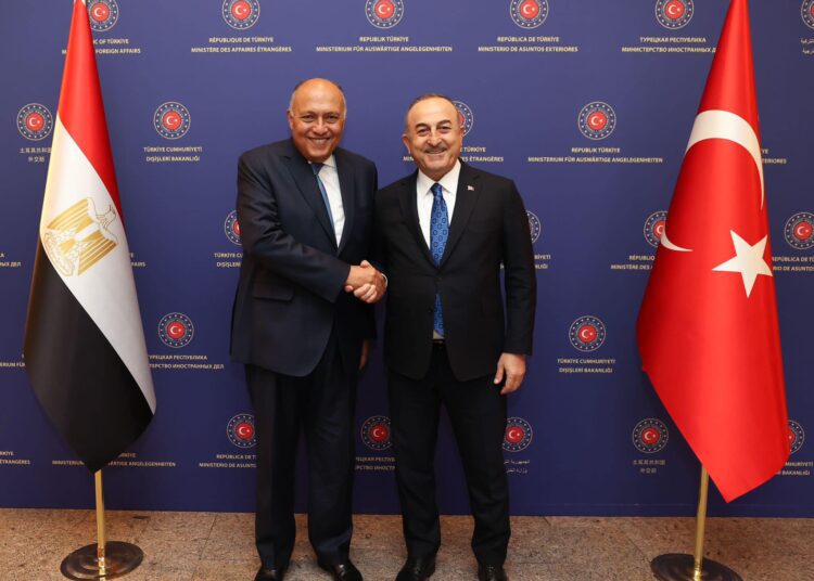Shoukry: frequent meetings show political will to elevate Egyptian-Turkish relations 1 - Egyptian Gazette