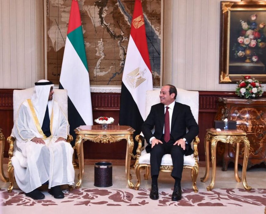 Sisi affirms Egypt's appreciation of its ties with UAE - Egyptian Gazette