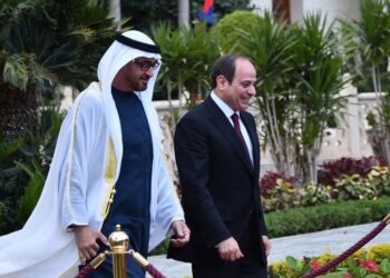 Sisi affirms Egypt’s appreciation of its ties with UAE