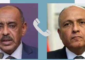 FM: Egypt deeply concerned over ongoing armed clashes in Sudan