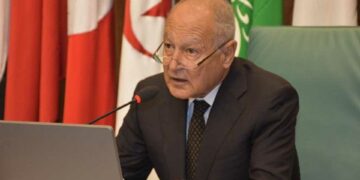 Abul Gheit presses for reaching ceasefire, restoring peaceful track