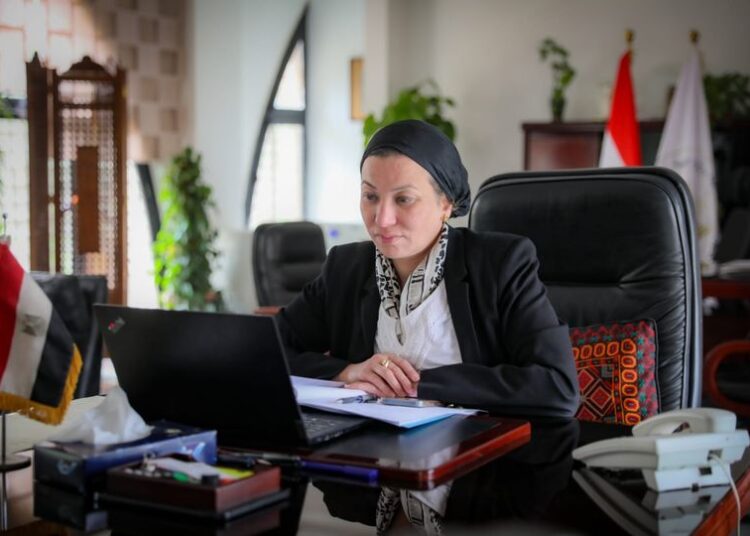 Draft for global diversity fund 1 - Egyptian Gazette