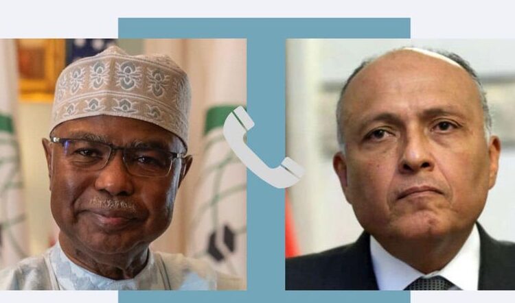 FM, OIC chief discuss Sudan situation 1 - Egyptian Gazette