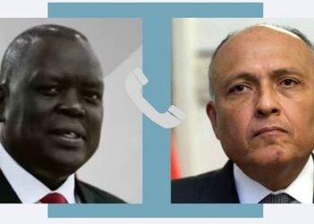 Egypt, South Sudan discuss current crisis in Sudan