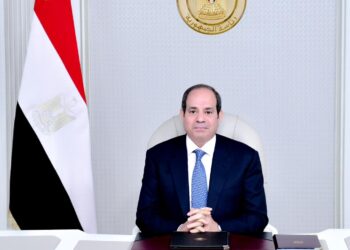 Sisi reviews Egypt’s efforts to overcome negative repercussions of climate change